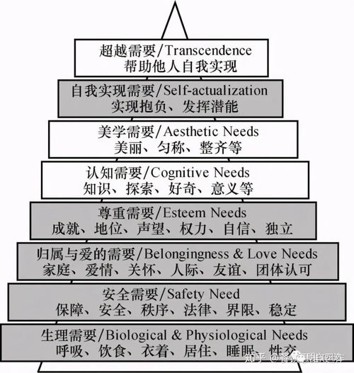 工作目的 從“止痛藥”到“保健藥”——非融資性擔保業(yè)務的雙重角色