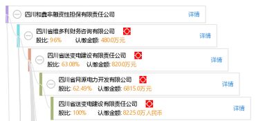 四川和鑫非融資性擔(dān)保有限責(zé)任公司 專注非融資性擔(dān)保業(yè)務(wù)，助力企業(yè)穩(wěn)健發(fā)展